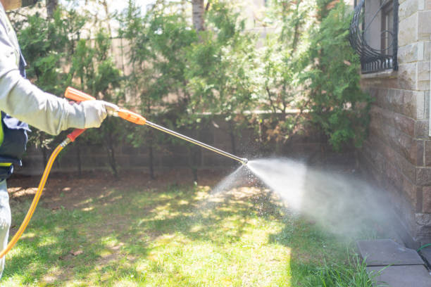 Best Pest Prevention Services  in Baywood, NY